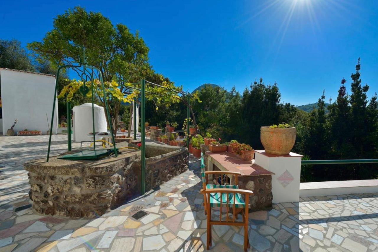 Villa Vincenzo Di Meglio Barano dʼIschia Exterior foto