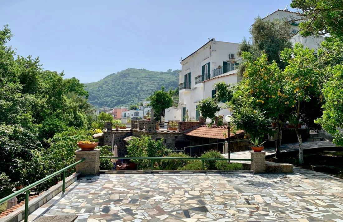 Villa Vincenzo Di Meglio Barano dʼIschia Exterior foto