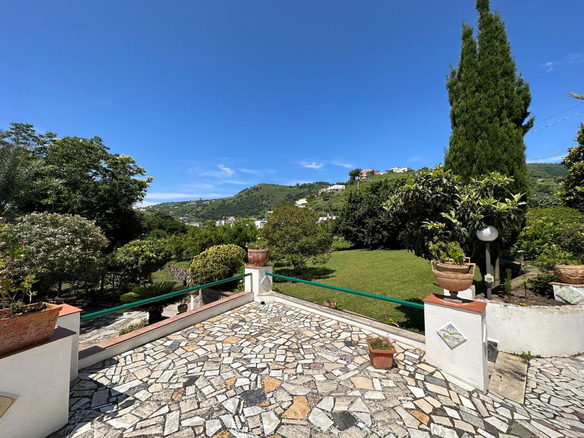 Villa Vincenzo Di Meglio Barano dʼIschia Exterior foto