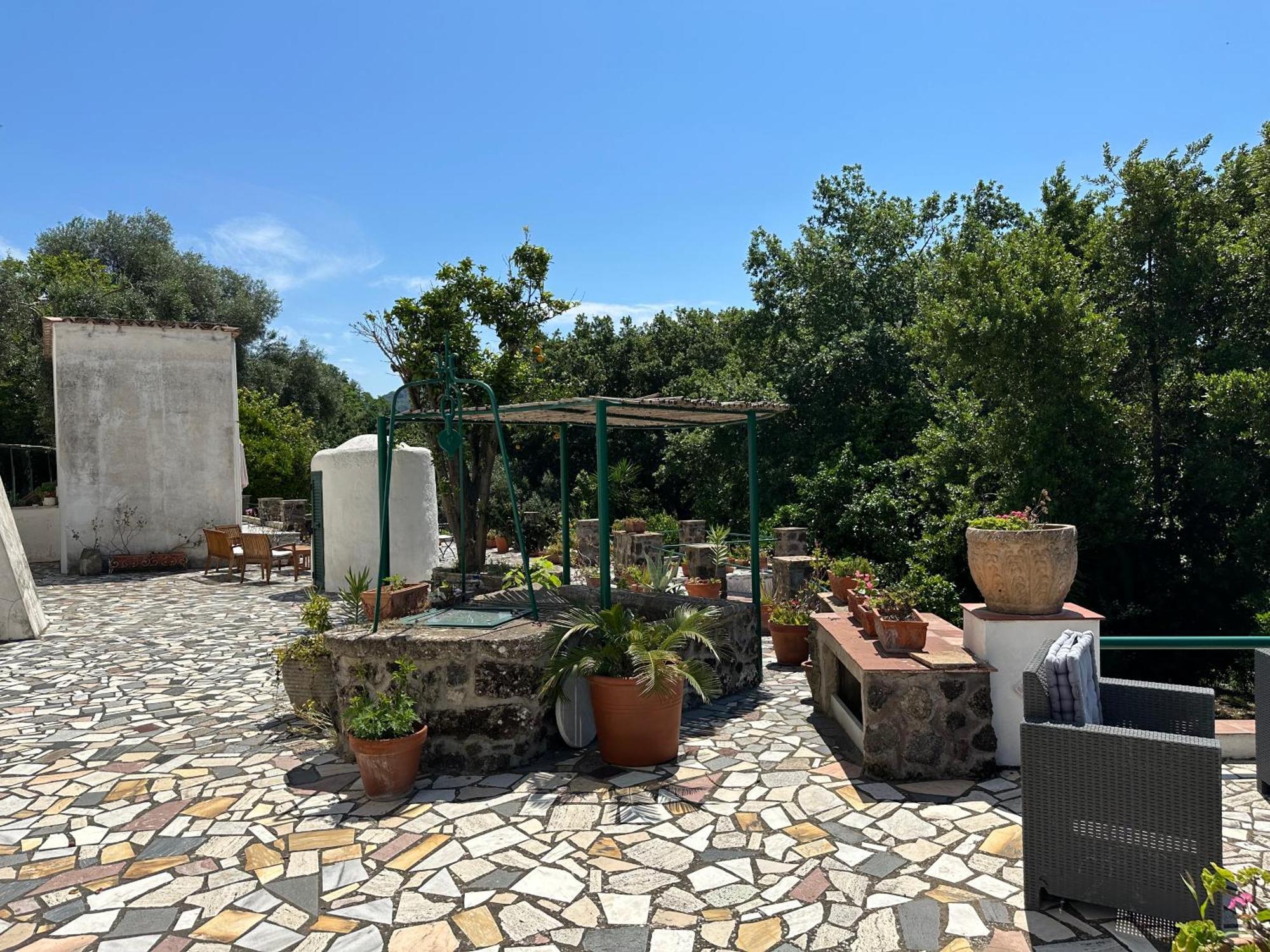 Villa Vincenzo Di Meglio Barano dʼIschia Exterior foto