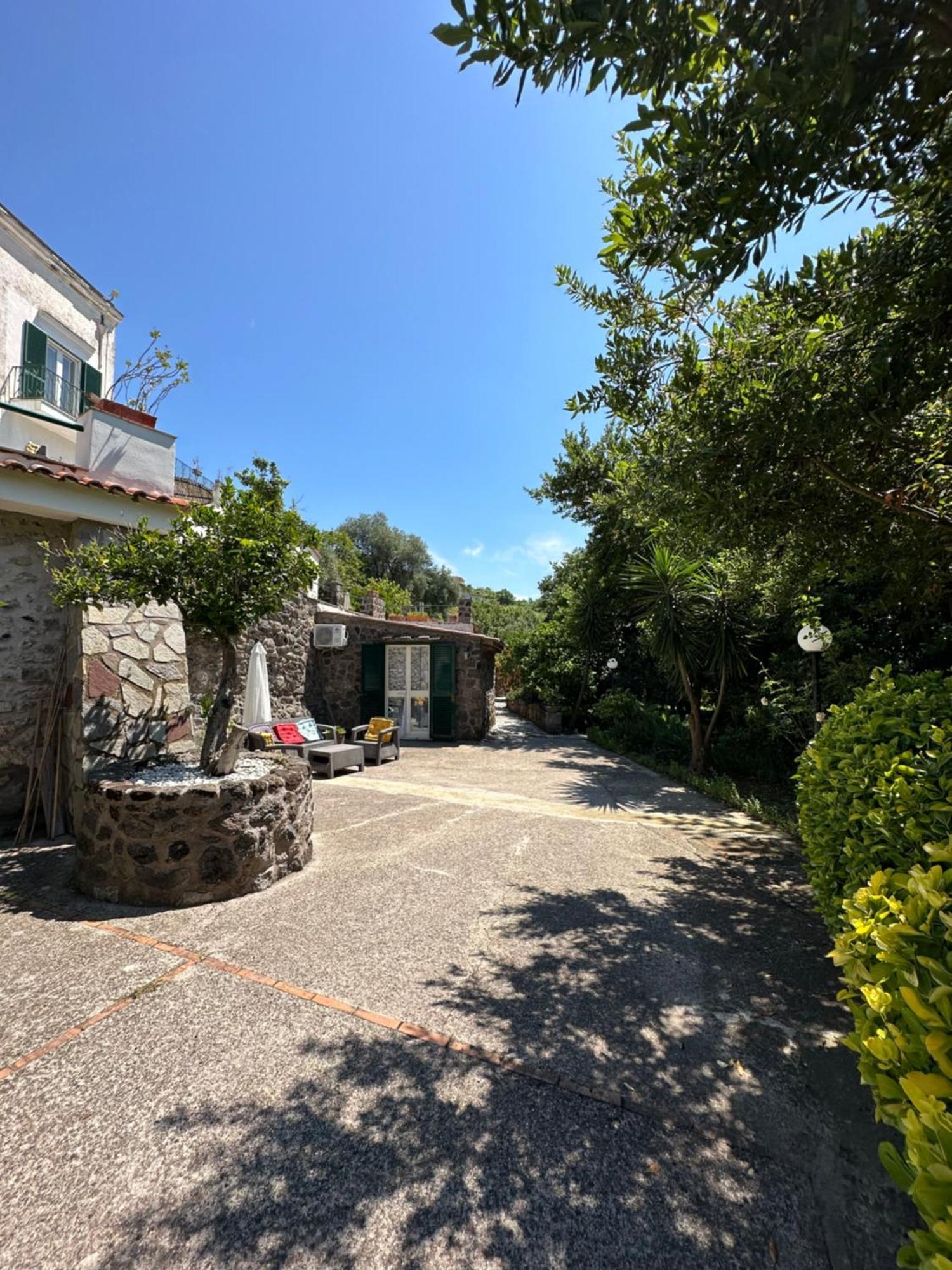 Villa Vincenzo Di Meglio Barano dʼIschia Exterior foto